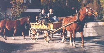 Bernerwagen