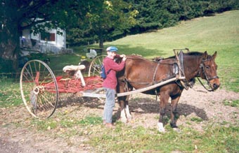 mit Maeda auf's Feld