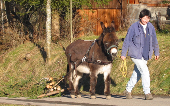 Mit Benjamin am Holzen
