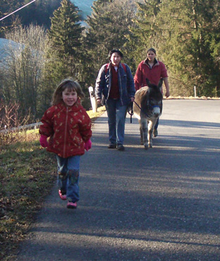 Leider konnten von der Nordfarm bis Ebersol keine Fotos gemacht werden, da uns die 2 Grautiere wieder einmal zeigten, wieviel Temperament sie eigentlich besitzen...!