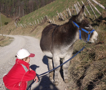 Na da in die Wiese, da hat es mitten im Winter schnes Gras...