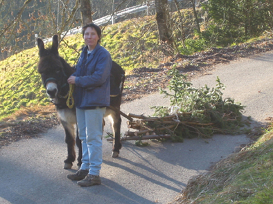 Benjamin und Ruth beim Schleppen von Aesten