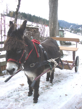 Benjamin mit Waegeli