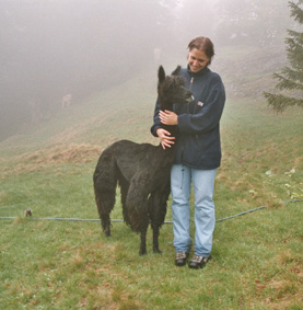 alp_6.jpg