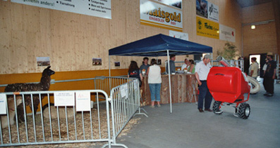 Alpaka Appenzell