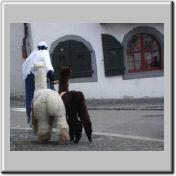10001_nacht_dom_4.jpg