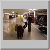 10001_nacht_parkhaus_1.jpg