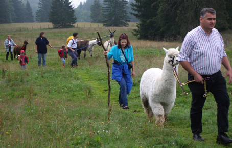 lama_12.JPG