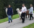 lama_31.JPG