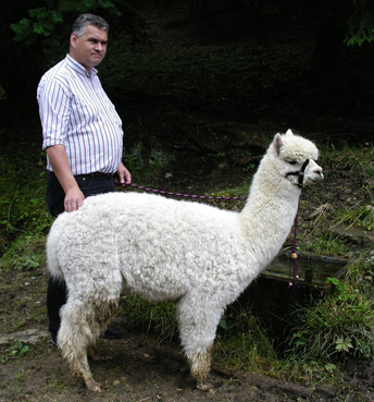 lama_42.JPG