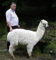 lama_42.JPG