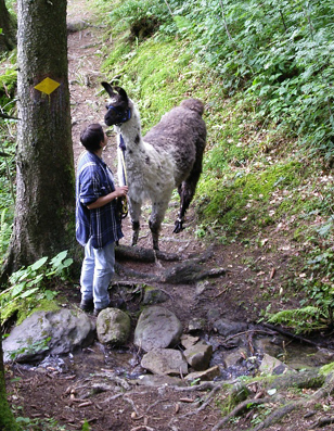 lama_44.JPG