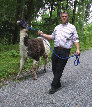 lama_48.JPG