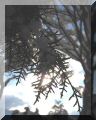 panorama_2.jpg