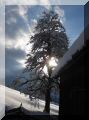 panorama_4.jpg