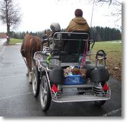kutsche_.jpg