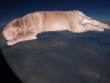 Ueber den Wolken muss die Freiheit wohl grenzenlos sein...