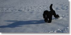 wanderrally_s2_8.jpg