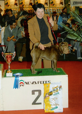 Reverve Baby Best in Show