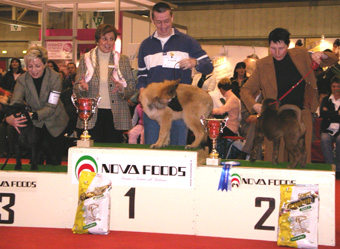 Platzierung 1-3 Baby Best in Show