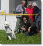 pr_2011.jpg
