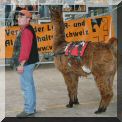 Trekkinglama