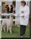 Tabaluga und Evi