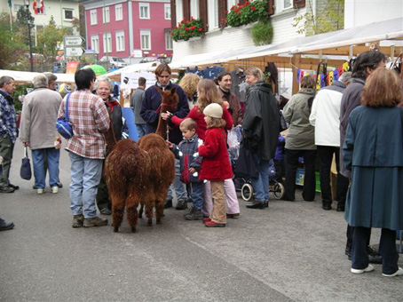 martinimarkt_10.jpg