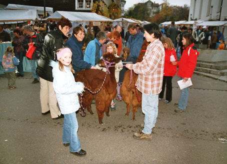 martinimarkt_111.jpg