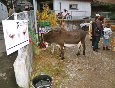 martinimarkt_3.jpg