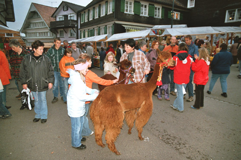 martinimarkt_7.jpg
