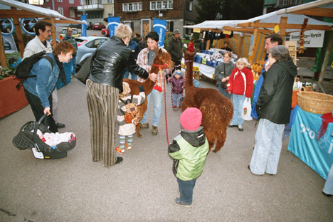 martinimarkt_8.jpg