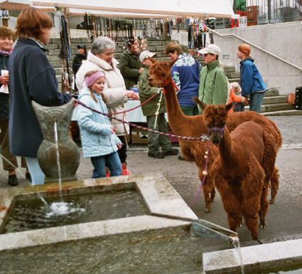 martinimarkt_9.jpg