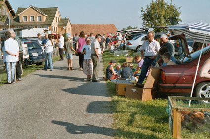 niederwil_2.jpg