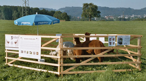 niederwil_4.jpg