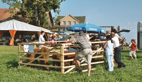 niederwil_6.jpg