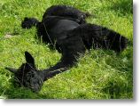 Baby Bo kann die Sonne wieder geniessen!