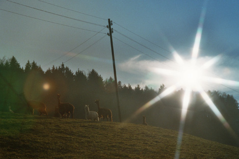 Abendstimmung
