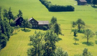 Die Nordfarm von der Strasse aus. (1999 wohnten die Langohren noch in Alterschwil.)