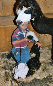 Hans Luzi beim Trocknen von Baby Bo.