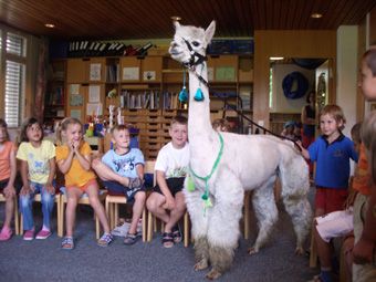 Zuchthengst Vasco da Gama zu Besuch im Kindergarten
